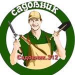 лого